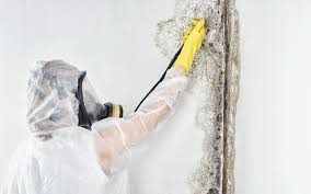 Best Forensic Mold Investigation  in Princeton, WI